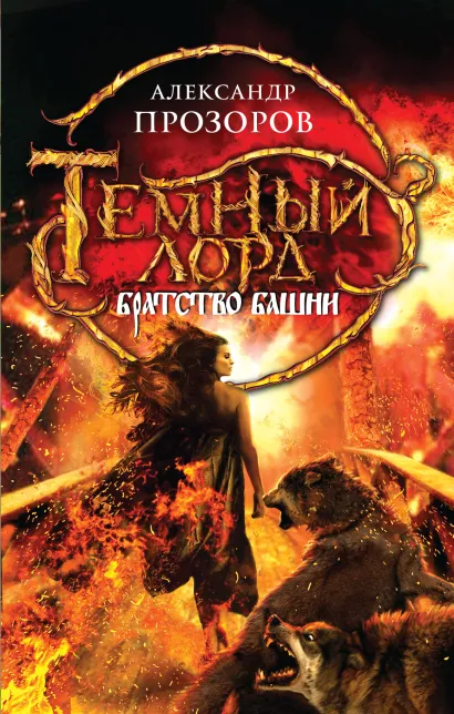 Обложка Братство Башни Александр Прозоров