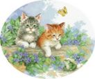 Наборы для вышивания. Котята (1172-14 ) Наборы для вышивания. Котята (1172-14 )