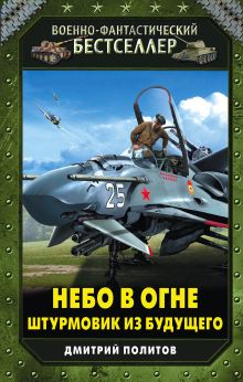 Обложка Небо в огне. Штурмовик из будущего Дмитрий Политов