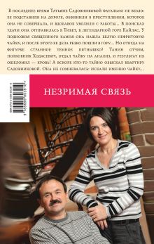 Обложка сзади Незримая связь Анна и Сергей Литвиновы