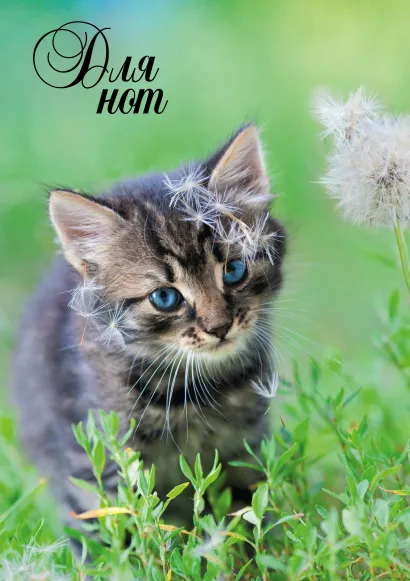 Обложка Нотная тетрадь (большая на клею). Котенок с одуванчиком 