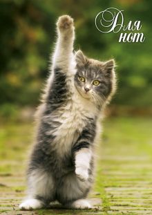 Нотная тетрадь (большая на скрепке). Котенок