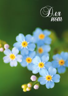 Нотная тетрадь (большая на скрепке). Голубые цветы