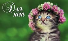 Тетрадь для нот 12л А5 