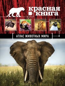 Обложка Атлас животных мира Оксана Скалдина