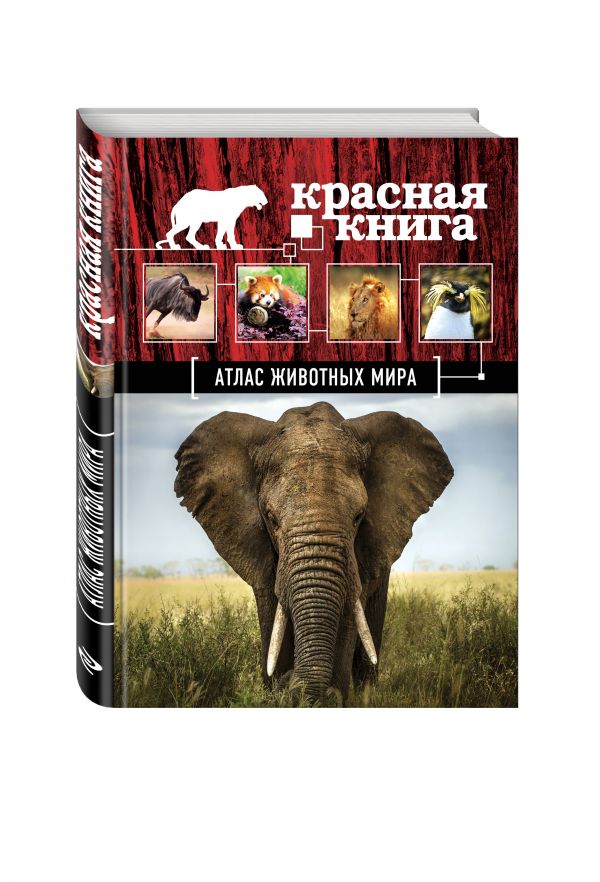 Атлас животных мира Атлас животных мира Скалдина О.В.
