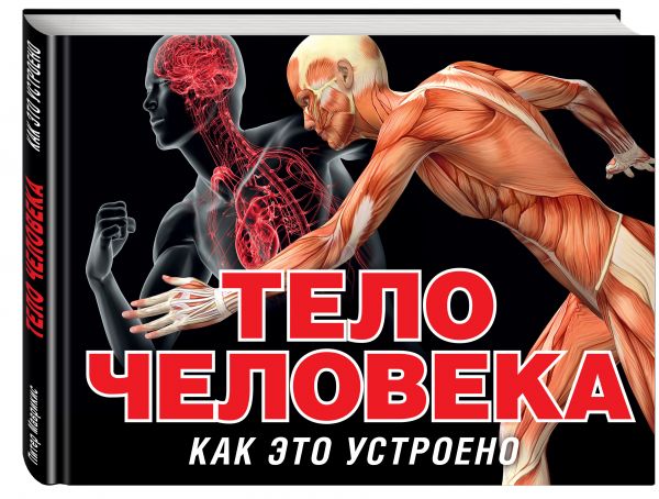 Тело человека (серия Как это устроено) Тело человека (серия Как это устроено) Маврикис П.