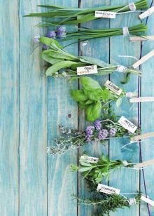 Блокнот для записей Травяной