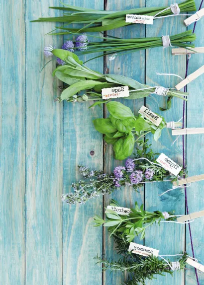 Обложка Блокнот для записей Травяной