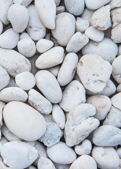 Обложка Блокнот для записей Морской