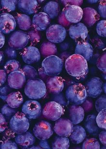 Блокнот для записей Черничный