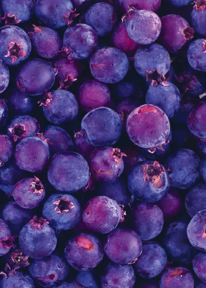 Обложка Блокнот для записей Черничный