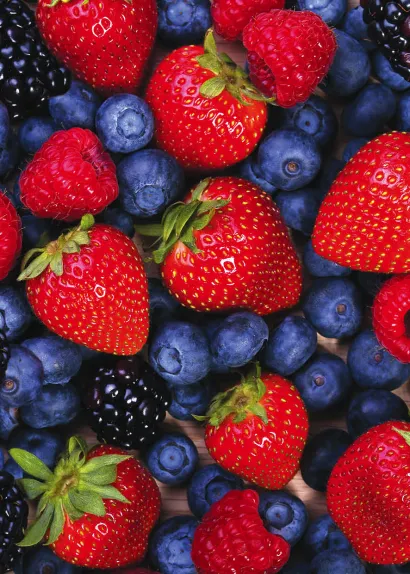 Обложка Блокнот для записей Ягодный 