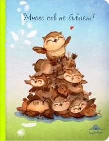 Блокнот. Много сов не бывает! (большой)