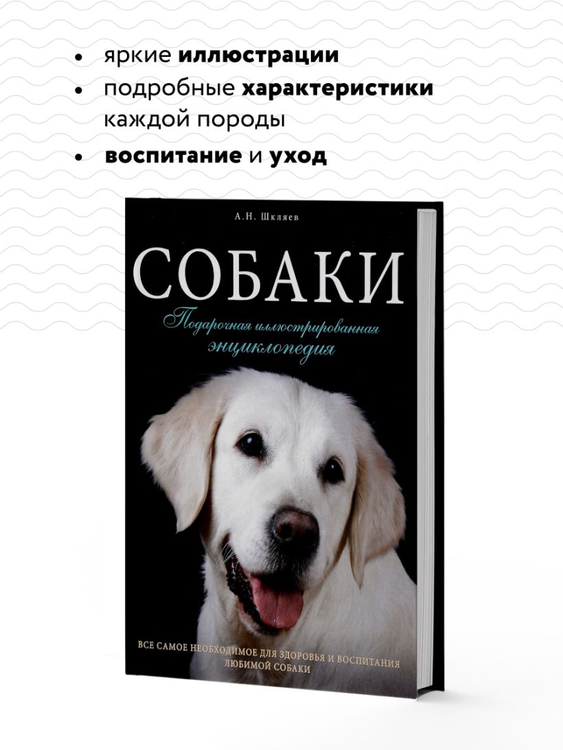 Книга Собаки Подарочная иллюстрированная энциклопедия Андрей Шкляев -  купить, читать онлайн отзывы и рецензии | ISBN 978-5-699-82639-1 | Эксмо