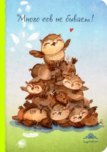 Блокнот. Много сов не бывает! (интерактивный блок)