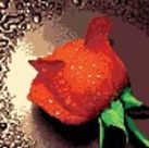Стразы на подрамнике. Красный бутон (006-RS-R) Стразы на подрамнике. Красный бутон (006-RS-R)