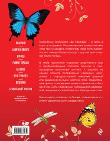 Обложка сзади Самые редкие, красивые и удивительные насекомые мира Дмитрий Лукашанец, Екатерина Лукашанец, Федор Сауткин