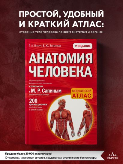 Анатомия человека: 2 издание