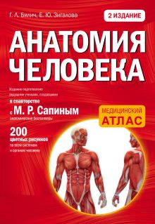 Обложка Анатомия человека: 2 издание Габриэль Билич, Елена Зигалова