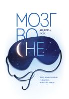 Мозг во сне. Что происходит с мозгом, пока мы спим Мозг во сне. Что происходит с мозгом, пока мы спим