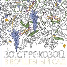 За стрекозой в волшебный сад