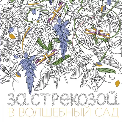 Обложка За стрекозой в волшебный сад 