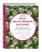 Атлас лекарственных растений. 900 домашних рецептов, которые помогут обрести здоровье Атлас лекарственных растений. 900 домашних рецептов, которые помогут обрести здоровье