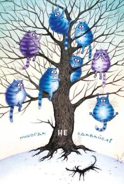 Обложка Блокнот. Никогда не сдавайся! Ирина Зенюк