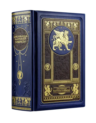 Обложка Сокровища мировой мудрости: теории, практики, советы 