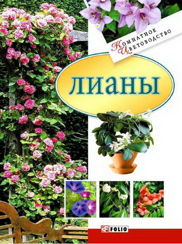 Лианы Лианы