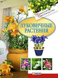 Луковичные растения Луковичные растения