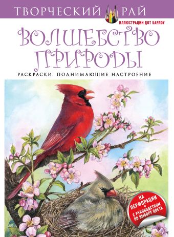 Волшебство природы. Раскраски, поднимающие настроение (с перфорацией) Волшебство природы. Раскраски, поднимающие настроение (с перфорацией)