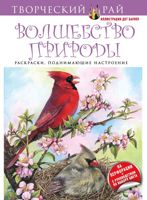 Волшебство природы. Раскраски, поднимающие настроение (с перфорацией) Волшебство природы. Раскраски, поднимающие настроение (с перфорацией)