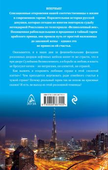 Обложка сзади Год в гареме Дубая. 