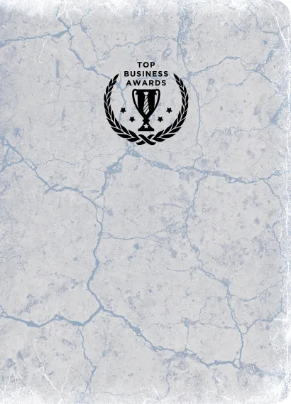 Обложка Сверхежедневник (серебро) 