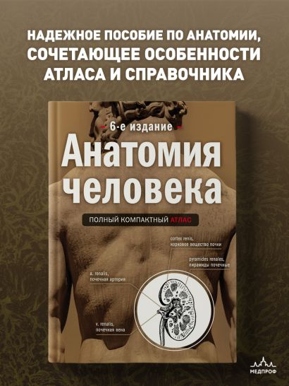 Анатомия человека: полный компактный атлас. 6-е издание