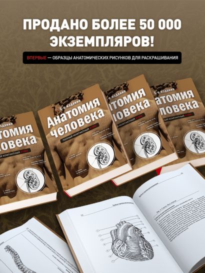 Анатомия человека: полный компактный атлас. 6-е издание