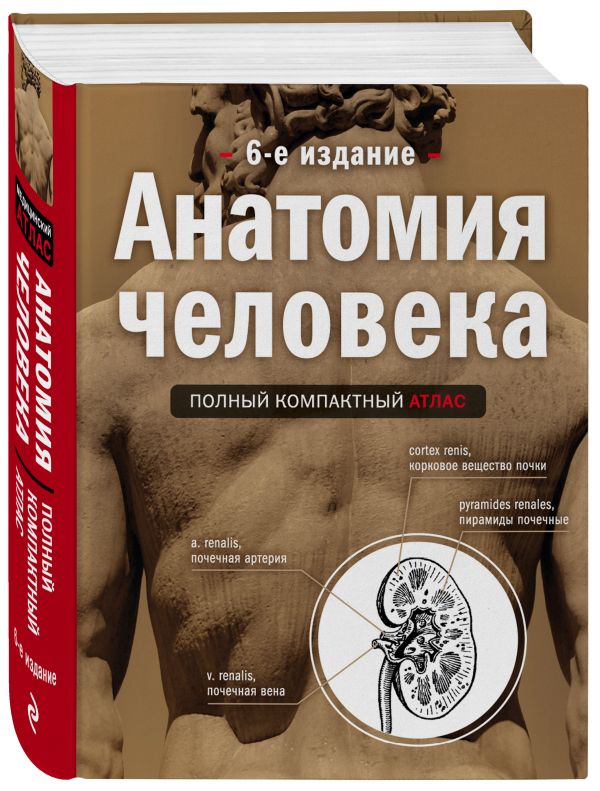 Анатомия человека: полный компактный атлас. 6-е издание Анатомия человека: полный компактный атлас. 6-е издание Боянович Ю.В.