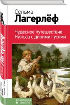 Чудесное путешествие Нильса с дикими гусями Чудесное путешествие Нильса с дикими гусями