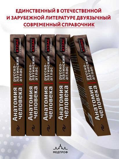 Анатомия человека: Русско-латинский атлас. 2-е издание