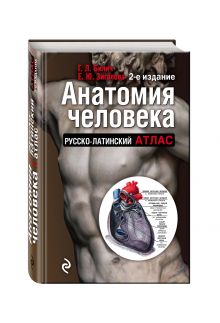 Анатомия человека: Русско-латинский атлас. 2-е издание