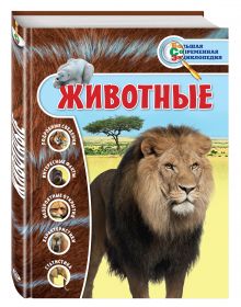 Политическая