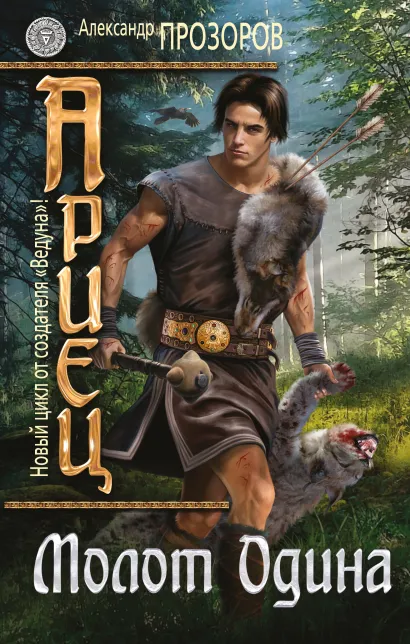 Обложка Ариец. Книга вторая. Молот Одина Александр Прозоров