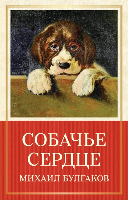 Обложка Собачье сердце Михаил Булгаков