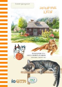 Блокнот. Загадочные коты (рыжая полоска)