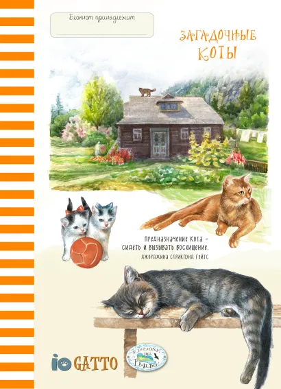 Обложка Блокнот. Загадочные коты (рыжая полоска)