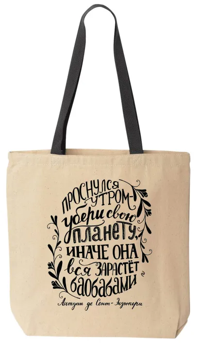 Обложка Сумка. Экзюпери 