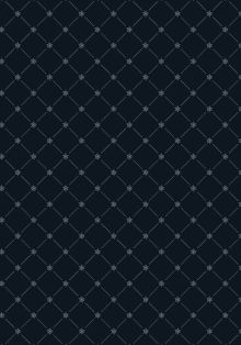 Блокнот Капитана Врунгеля. Чёрный паттерн