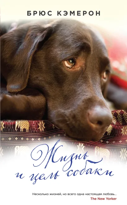 Обложка Жизнь и цель собаки Брюс Кэмерон